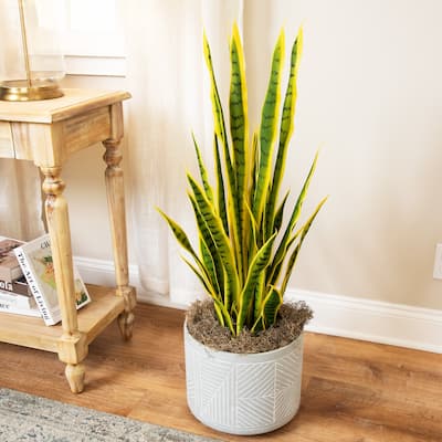 Artificial Potted Snake Plant - 38"