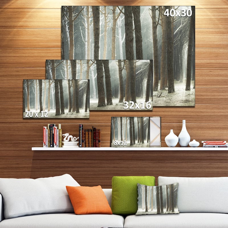 Maritime Pine Tree Forest with Rays - Oversized Forest Canvas Art - Blue