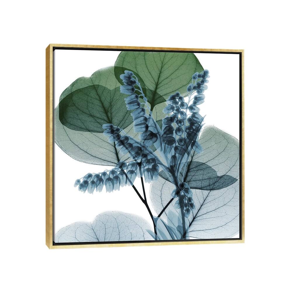 iCanvas "Lilly Of Eucalyptus II" by Albert Koetsier Framed Canvas Print