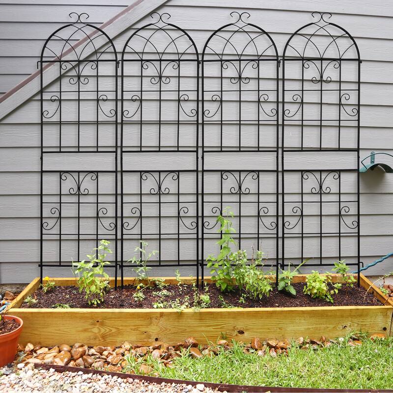 2-Pack Garden Trellis Black Iron 16x61" with Arched Top for Roses Flowers and Vegetable Plants - (16 x 61)" (W x H)