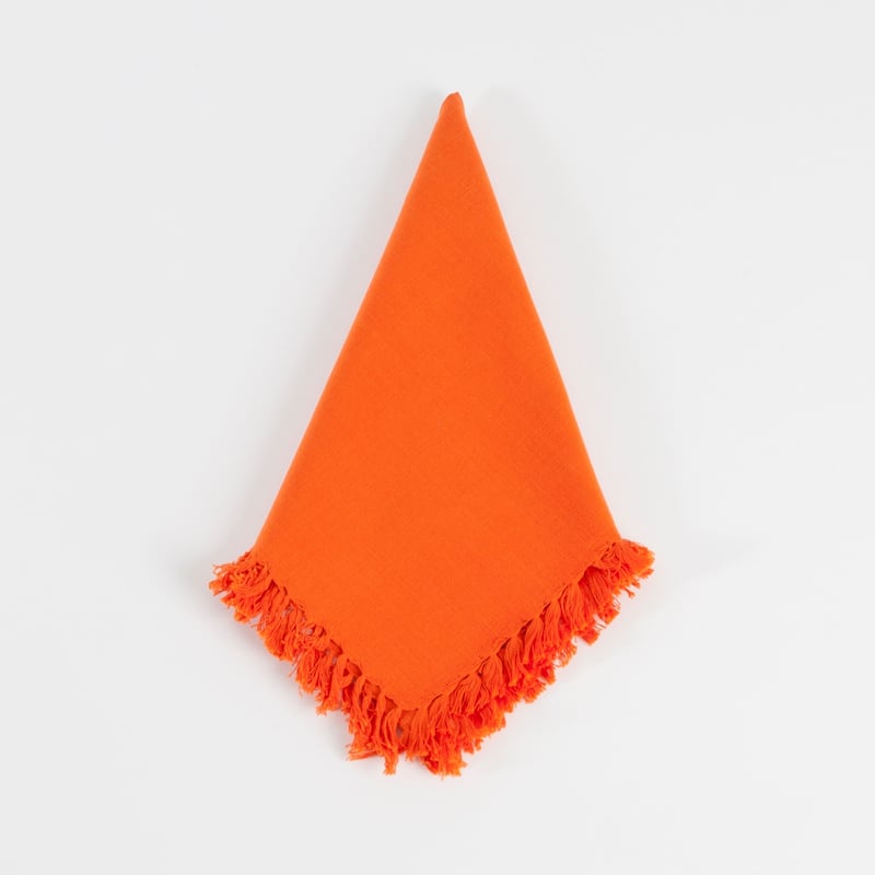 Fringed Design Napkins (set of 4)