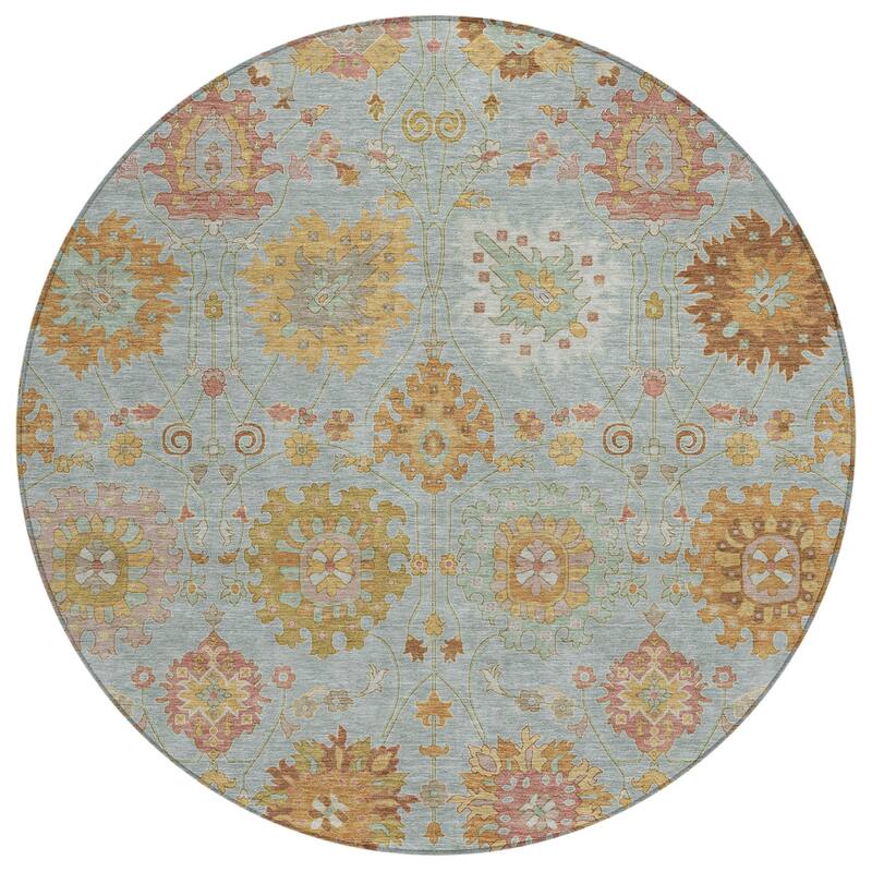 Machine Washable Indoor/ Outdoor Vintage Traditional Chantille Rug