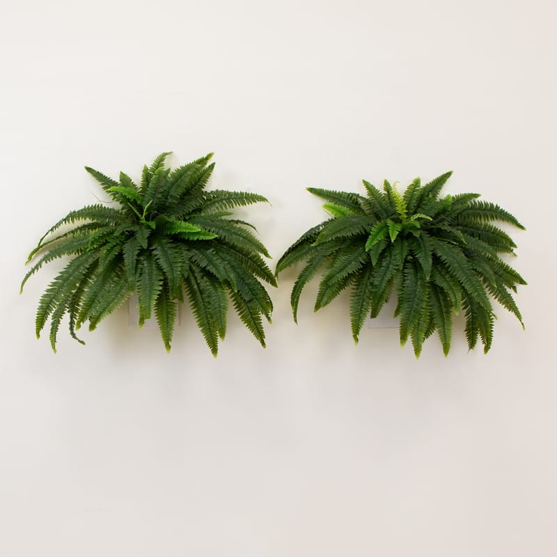 Boston Fern Artificial Plants - 48" - Green - Set of 2