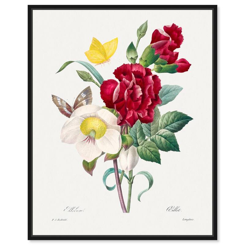 Winter Rose and Carnation Canvas by Art Remedy - Black - 36" x 45"
