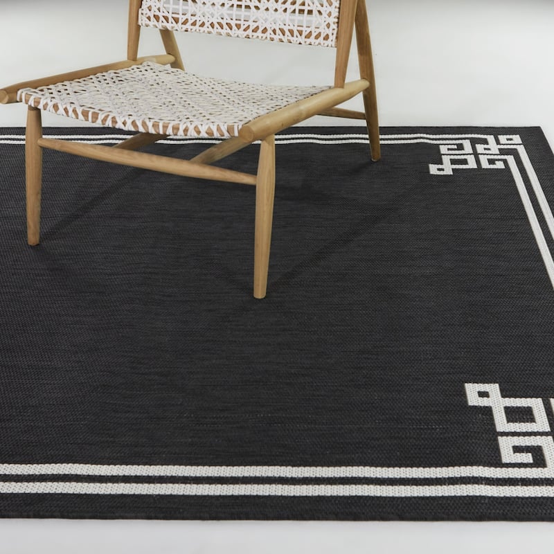 Haines Transitional Border Indoor/Outdoor Area Rug