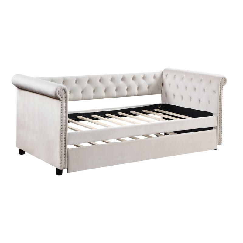 Twin Size Upholstered Velvet Daybed with Trundle and Stylish Round Armrest