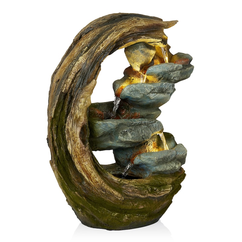 Curved Trunk and Stone Fountain