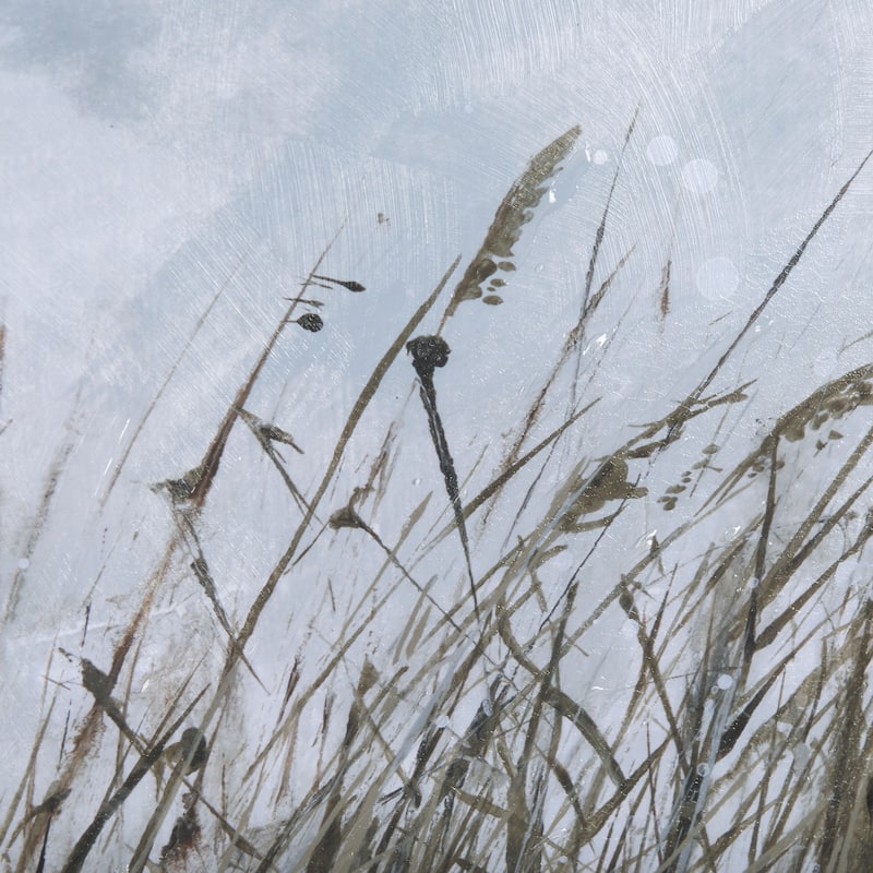 Chilly Breeze II Framed Art Print