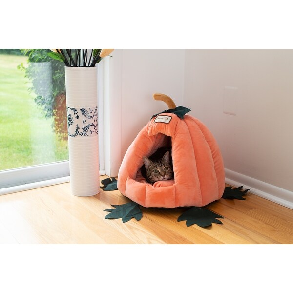 pumpkin cat bed