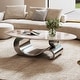 preview thumbnail 15 of 22, GDFStudio - Contemporary 49.2" Oval Sintered Stone Coffee Table with S-Shaped Stainless Steel Base & Novel-Pattern Top
