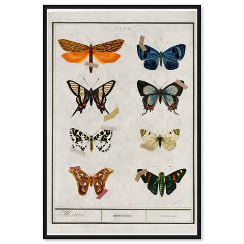 Oliver Gal 'Colorful Butterfly Wings Collection' Framed Canvas Art Print