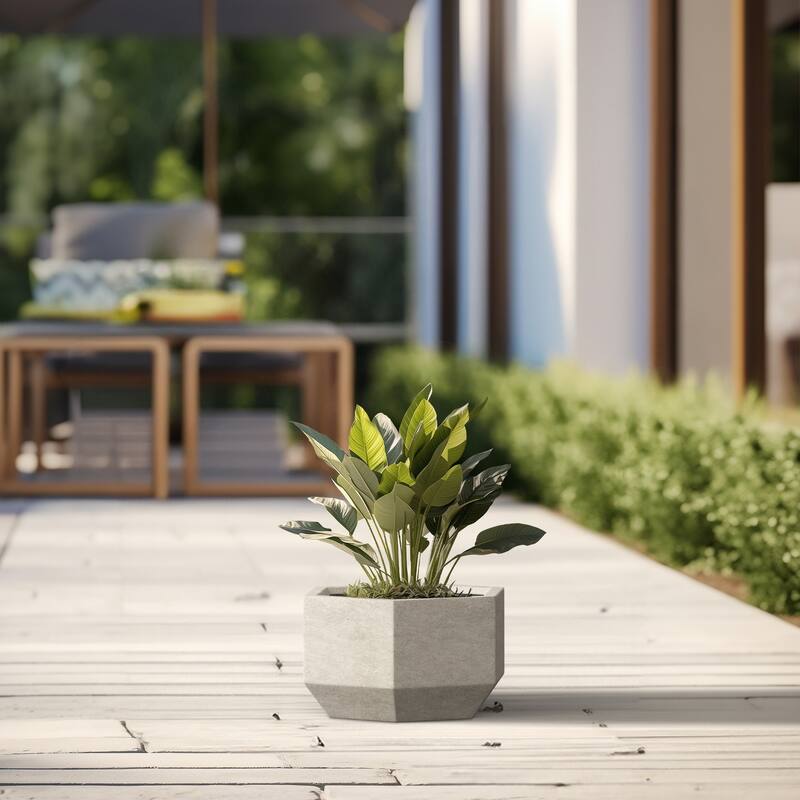 Concrete Geometric Plant Pots / Large Indoor and Outdoor flower Planters