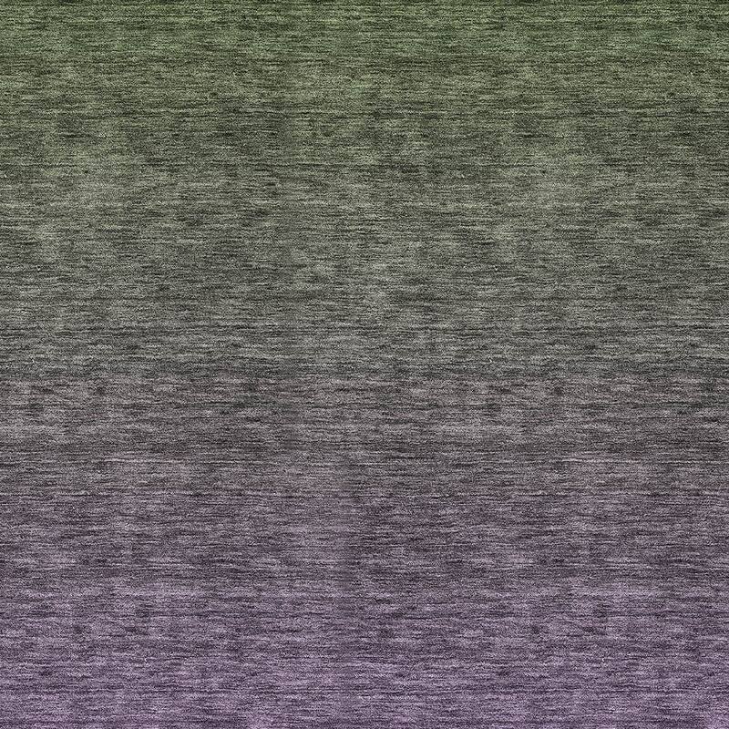 HomeRoots Ombre Transitional Rectangle Outdoor Rug