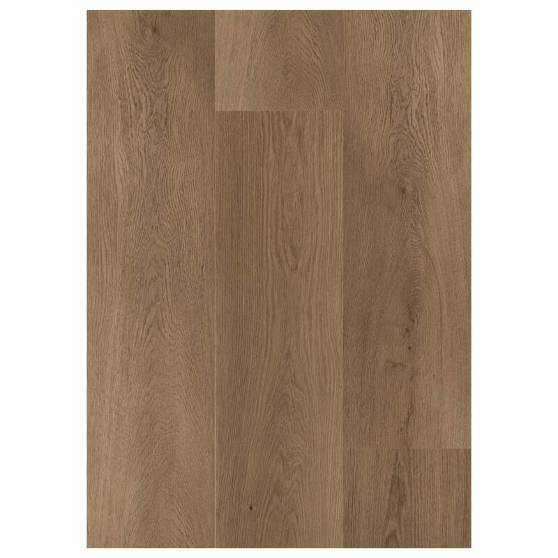 Daltile Asher Bend 9" x 71" Glue Down Luxury Vinyl Flooring (8 Pc per Carton) (35.36 Sq Ft per Carton) - N/A