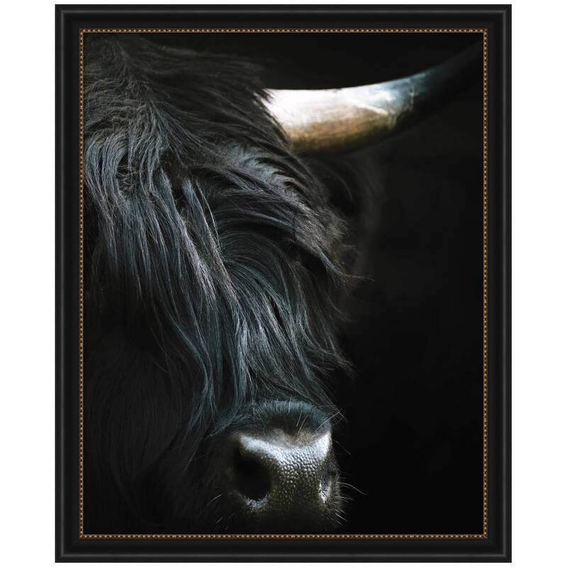 Kate and Laurel Minimalist Black Highland Cow Close by Michael Schauer Framed Wall Art Print - 34 x 44 - Black
