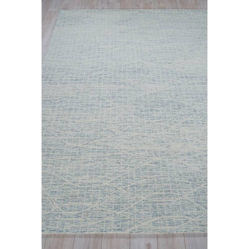 Exquisite Rugs Miami Handmade Hand-tufted New Zealand Wool on Canvas Silver Area Rug