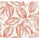 Option Rich Coral
