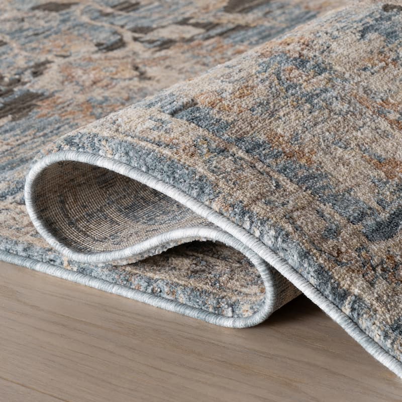 Nuloom Cynedra Traditional Vintage Floral Area Rug