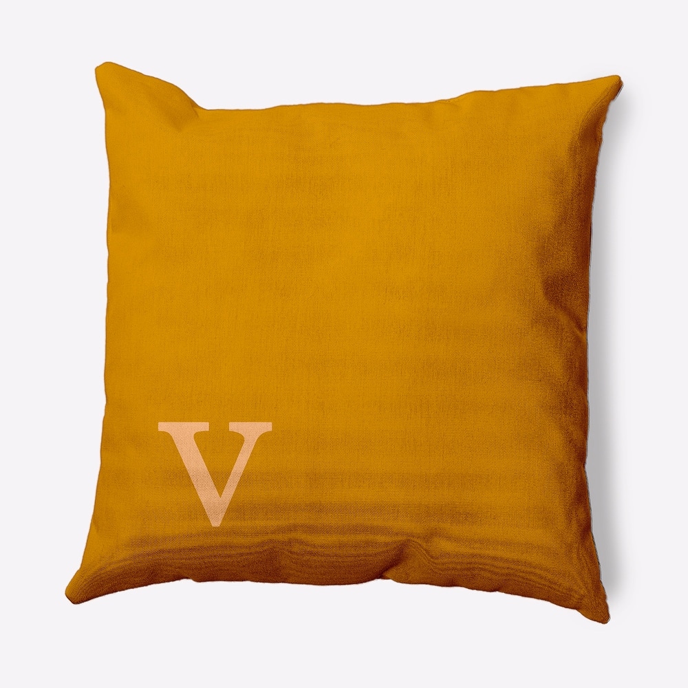 Modern Monogram Indoor/Outdoor Throw Pillow-V