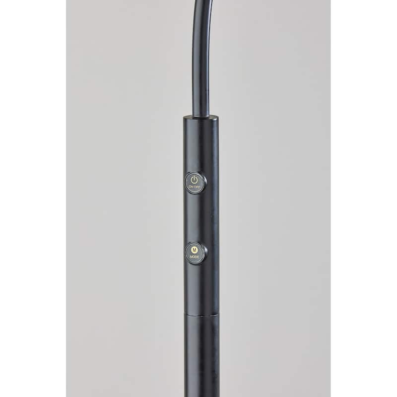 Zane LED Floor Lamp w. Smart Switch- Black
