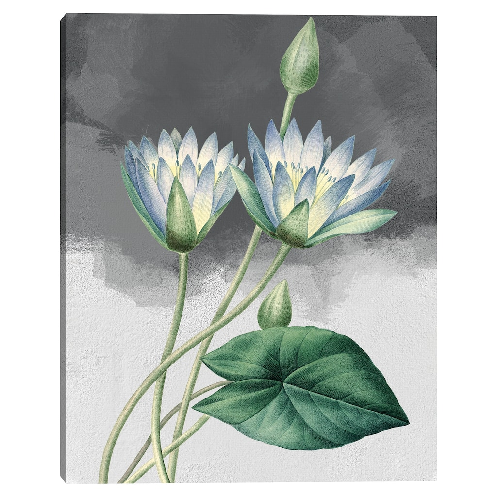 Blue Lotus Grey by Design Lab Canvas Art Print