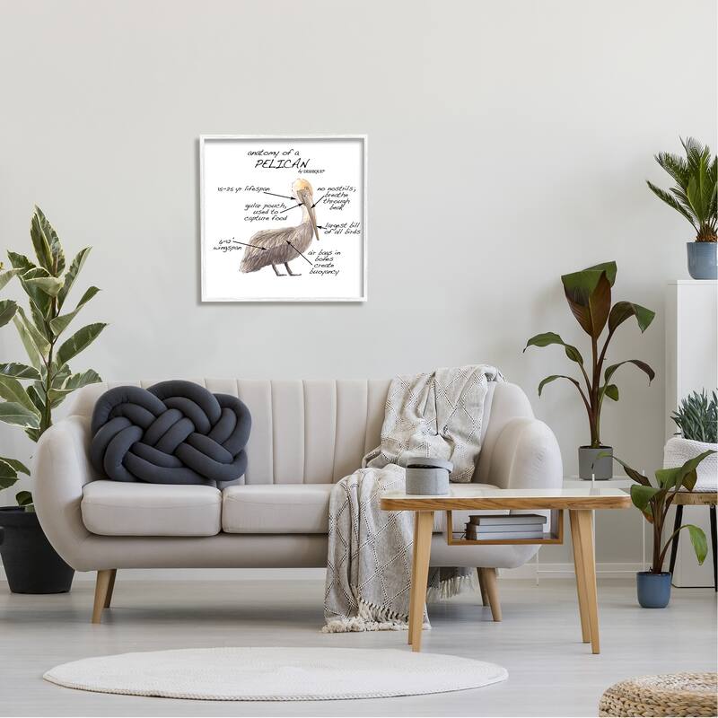 Stupell Pelican Sea Bird Animal Educational Anatomy Diagram Framed Wall Art, Design by Dishique - Beige