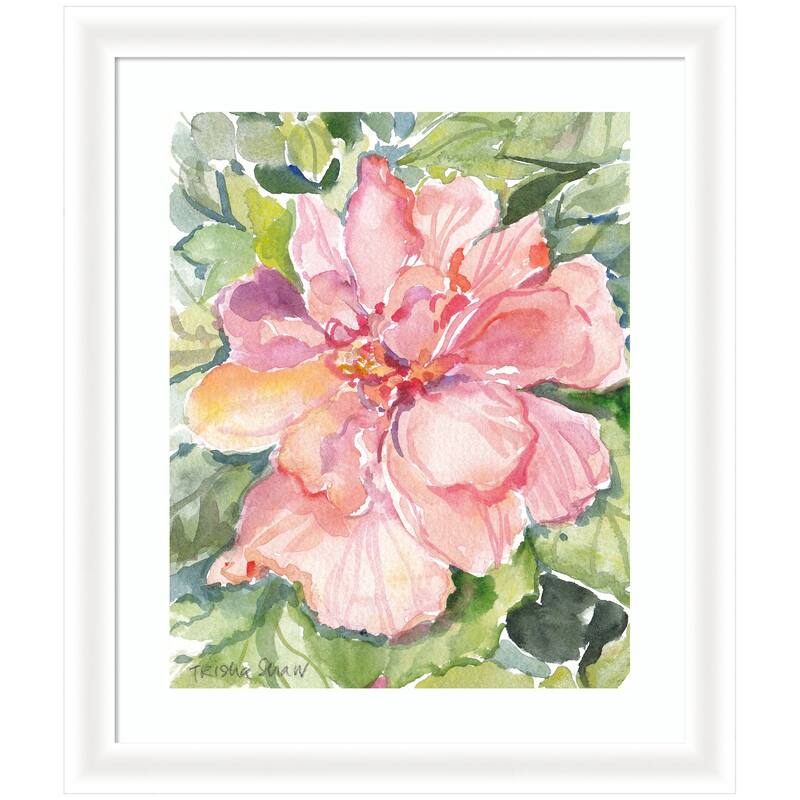Kate and Laurel Framed Art Pink Hibiscus In Antigua by Patricia Shaw - 23x27 - White