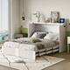 Option White