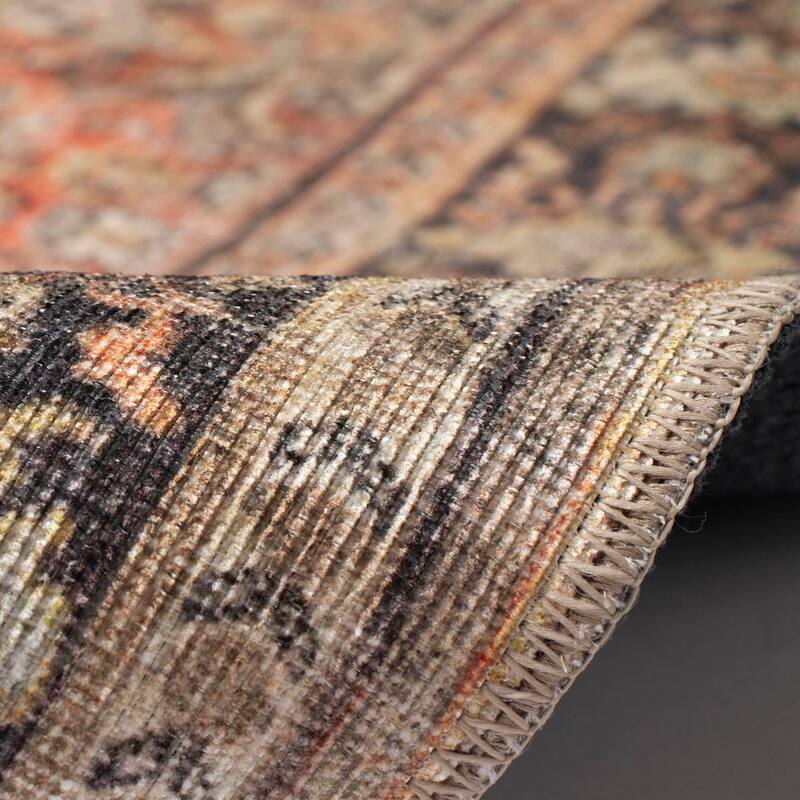 Liora Manne Inspirations Sarouk Indoor Area Rug