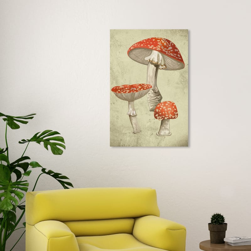 Wynwood Studio Canvas Floral and Botanical Mushroom Illustrated Notes II Red and Eggshell Traditional Wall Art Canvas Print - 30 x 20