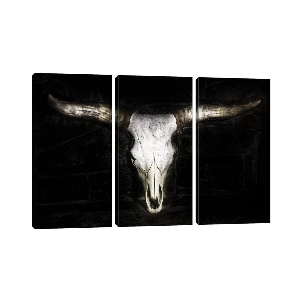 iCanvas "Cow Skull" by PHBurchett 3-Piece Canvas Wall Art Set