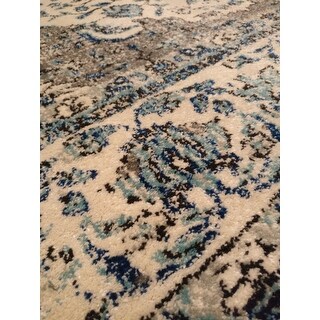 Safavieh Evoke Annabel Vintage Shabby Chic Oriental Rug