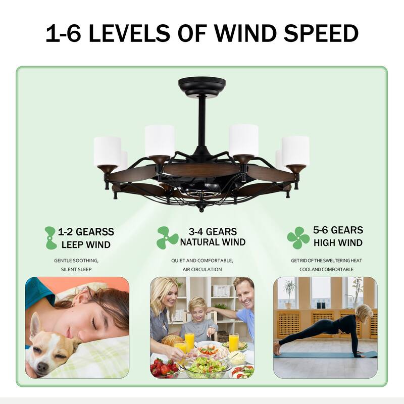 Classic Ceiling Fan Light with Lighting and 6 Speed Settings, Reversible DC Motor for Bedroom and Living Room