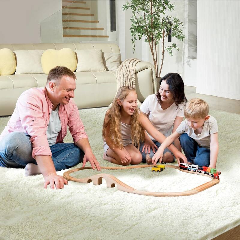 4X6 Fluffy Shag Area Rugs, Super Soft Rugs for Living Room