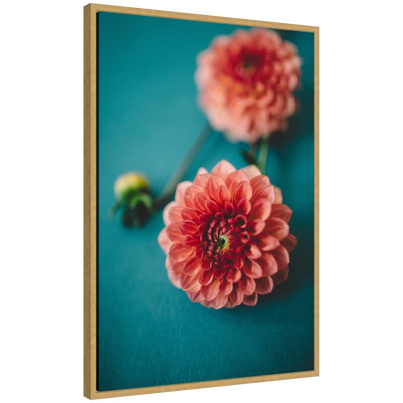 Kate and Laurel Sylvie Vibrant Pink Dahlia Floral Framed Canvas by Patricia Hasz of Patricia Rae Photography - 23x33