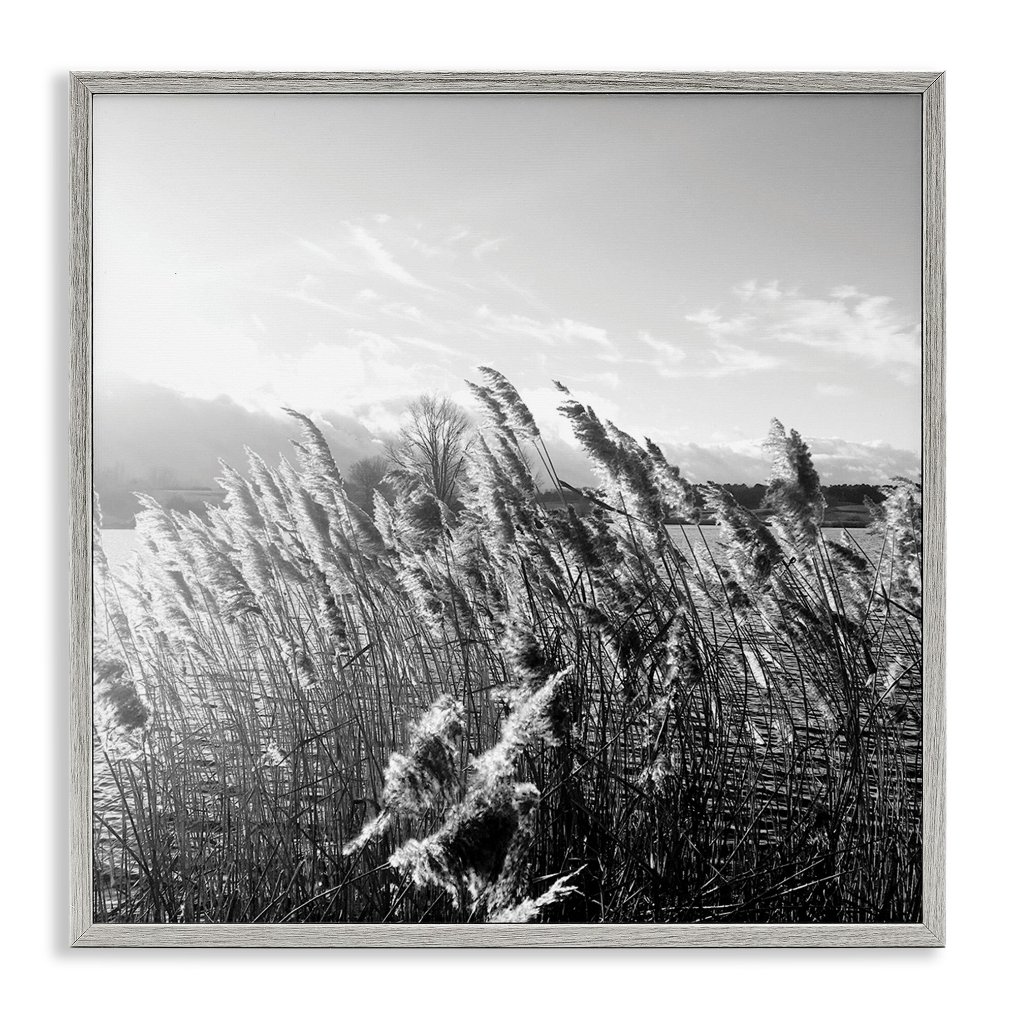 Stupell Tall Grass Lake Water Landscape Black White Photography Framed Wall Art