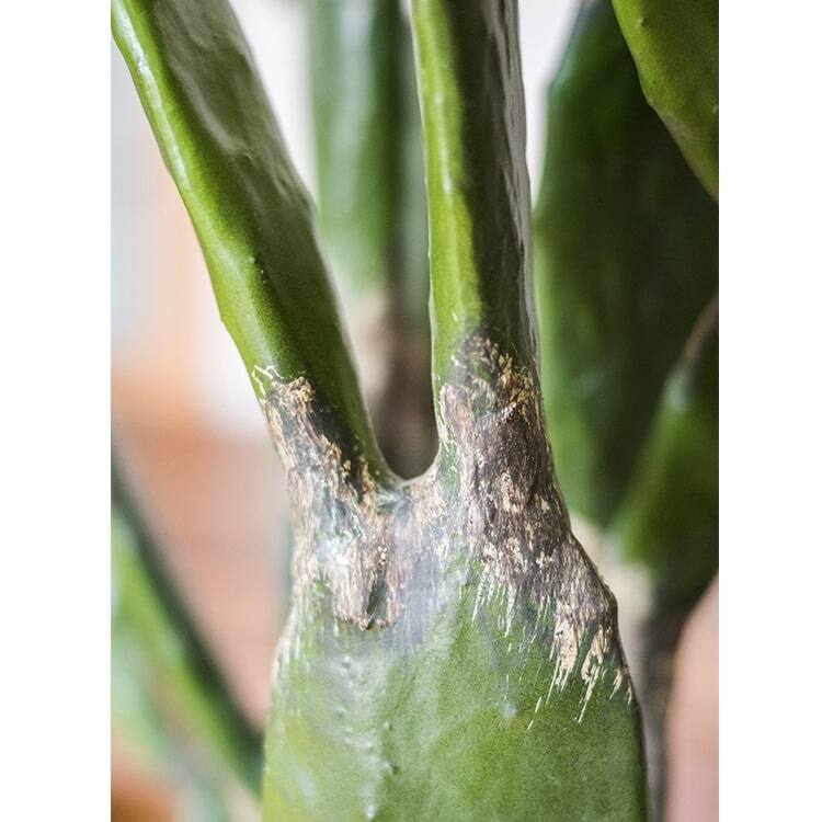 RusticReach Artificial Plant Morelos Cactus