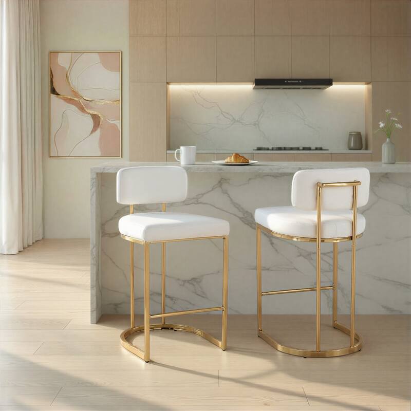 Demi Mid-Back 26" Fixed-Height Counter Stool - Set of 2