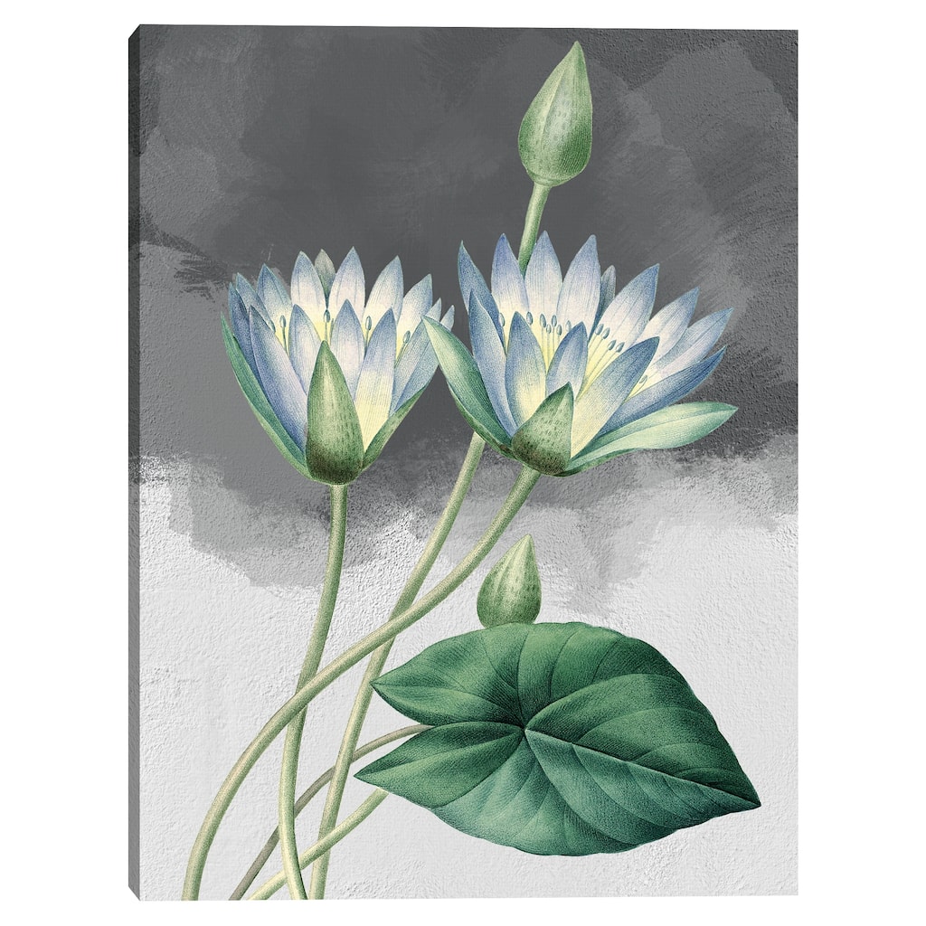 Blue Lotus Grey Canvas Art Print