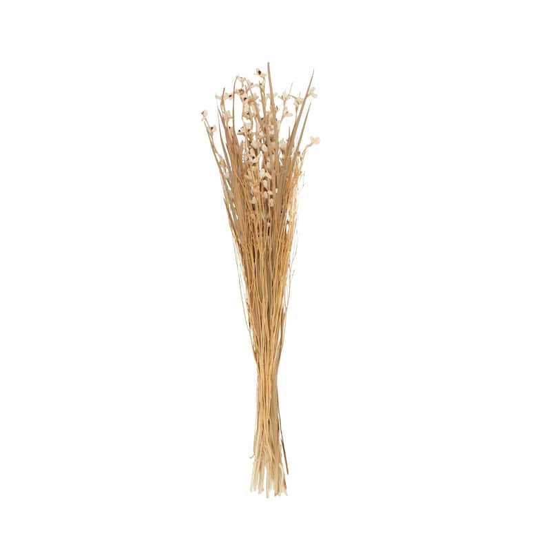 Dried Plant Tall Floral Bouquet Natural Foliage with Brown Stems - Cream - Roche River Decor