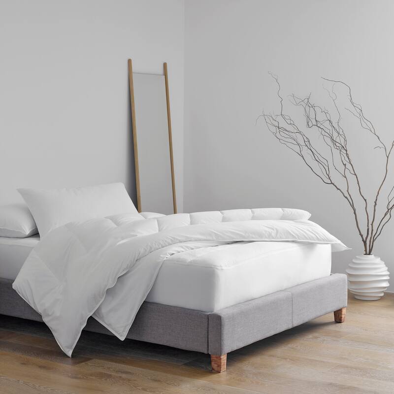 Martex Clean Essentials Standard White Twin Pack Pillow & Pillow Protector Set with SILVERbac Antimicrobial Technology - Standard - White