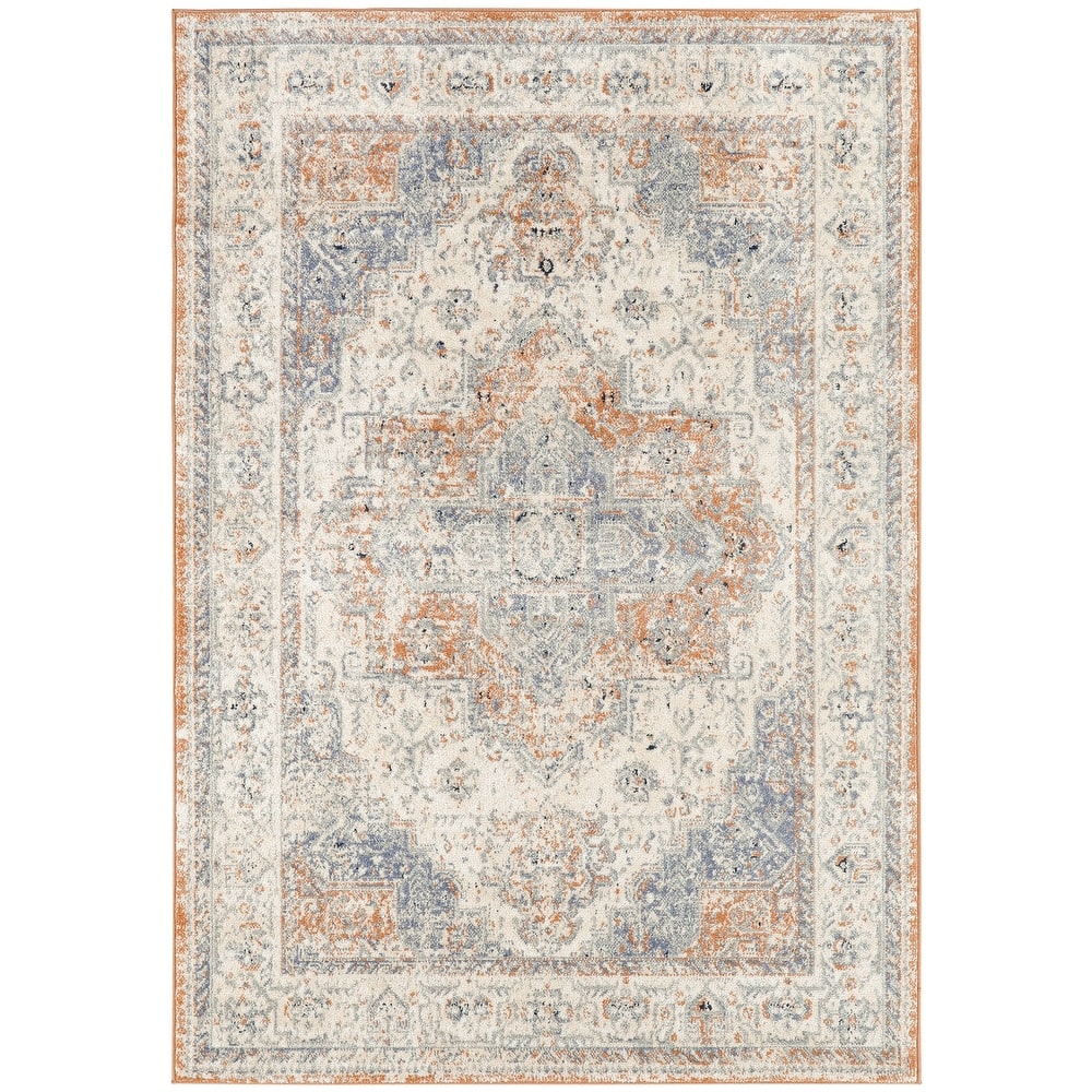 Nourison Essentials Persian Indoor/Outdoor Area Rug