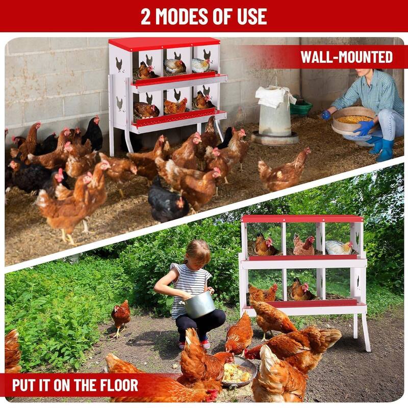Chicken Nesting Boxes with Roll Out Egg Collection and Legs
