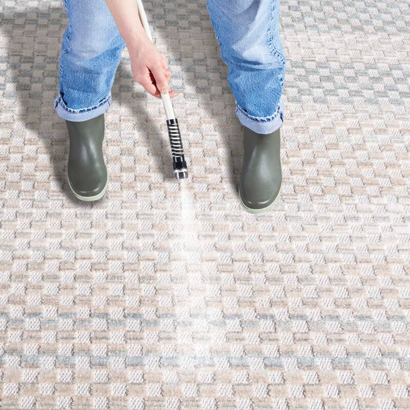 SAFAVIEH Stella Cobien Modern & Contemporary Rug