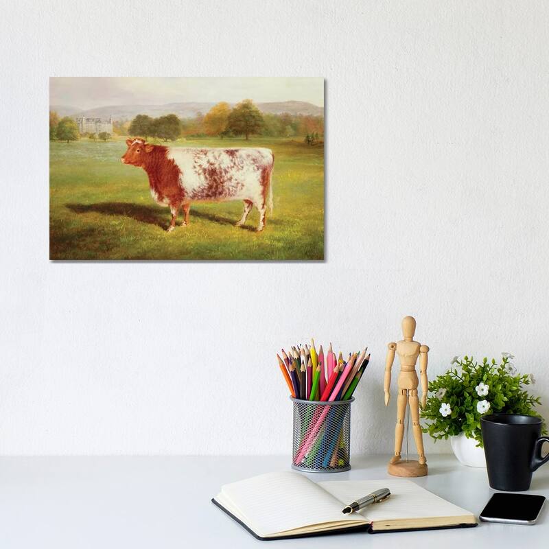 iCanvas "Portrait of a Shorthorn, 19th century" by William Joseph Shayer Canvas Print - 8x12x0.75