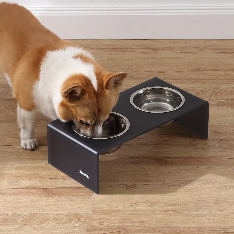 Keaton 5" Small/Medium Modern Lucite Rectangular Elevated Pet Feeder with 20oz 2-Stainless Steel Bowls