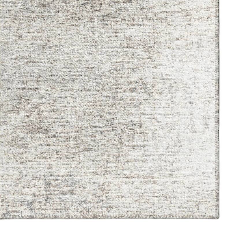 Indoor/Outdoor Rylee Modern Bordered Washable Rug
