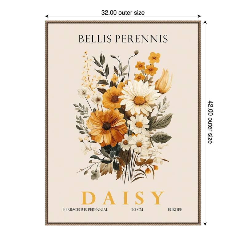Vintage Botanical Daisy Illustration by Christopher Giampietro Framed Canvas Wall Art Print - Gold - 32 x 42 in