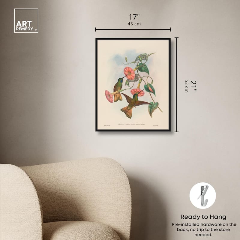 Gould's Hummingbirds Canvas by Art Remedy
