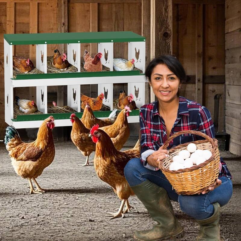 Chicken Nesting Box Nesting Boxes - Green 8-Hole (without legs)